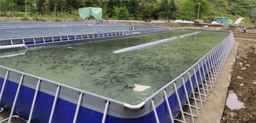 水产养殖设备/工厂化循环水养鱼系统